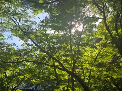 含空院(滋賀県)