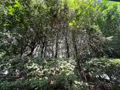 手力雄神社(岐阜県)