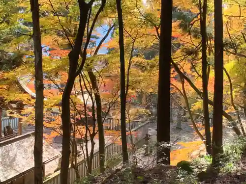 岡太神社(福井県)