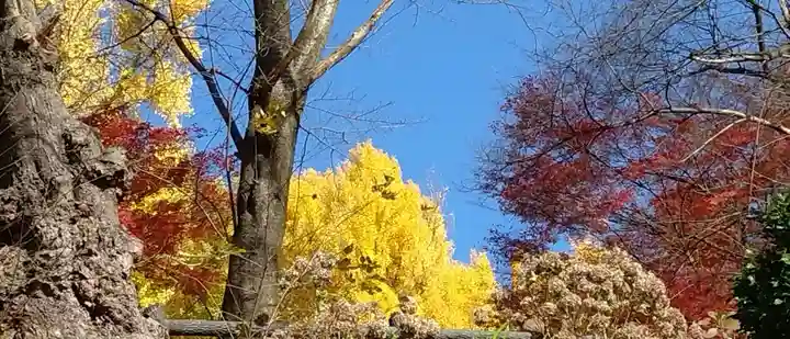 烏帽子山八幡宮(山形県)