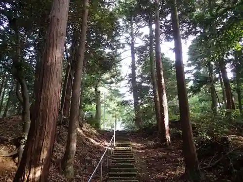 金剱神社の建物その他