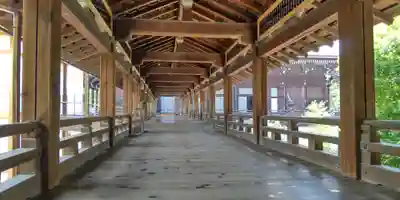 知恩院(京都府)