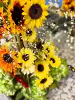 札幌諏訪神社の手水舎