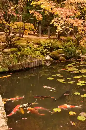 天授庵(京都府)