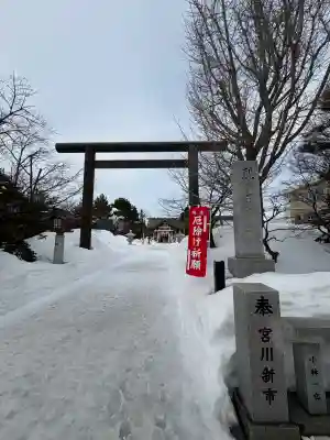 烈々布神社の{uncategorized: "未分類", other: "その他", undefined: "問題あり", building: "その他建物", grave: "お墓", sacred_gate: "鳥居", guardian: "狛犬", statue: "像", buddha: "仏像", history: "歴史", nature: "自然", garden: "庭園", animal: "動物", pagoda: "塔", temizu: "手水舎", mountain_gate: "山門・神門", sanctuary: "本殿・本堂", subordinate: "末社・摂社", art: "芸術", scenery: "景色", jizo: "地蔵", ema: "絵馬", goshuin: "御朱印", omikuji: "おみくじ", items: "授与品その他", amulet: "お守り", goshuincho: "御朱印帳", eats: "食事", festival: "お祭り", votive_dance: "神楽", shichigosan: "七五三参", wedding: "結婚式", experience: "体験その他", initially: "初詣", around: "周辺", anti_infection: "感染症対策"}