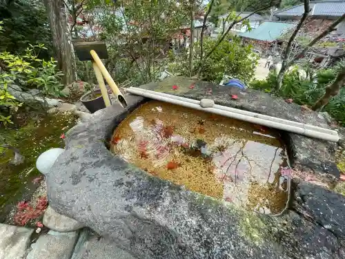 大聖院(広島県)