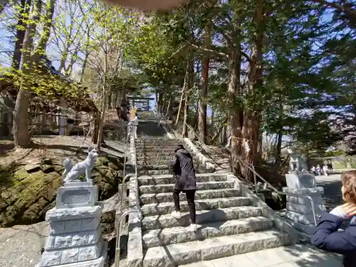 千歳神社の{uncategorized: "未分類", other: "その他", undefined: "問題あり", building: "その他建物", grave: "お墓", sacred_gate: "鳥居", guardian: "狛犬", statue: "像", buddha: "仏像", history: "歴史", nature: "自然", garden: "庭園", animal: "動物", pagoda: "塔", temizu: "手水舎", mountain_gate: "山門・神門", sanctuary: "本殿・本堂", subordinate: "末社・摂社", art: "芸術", scenery: "景色", jizo: "地蔵", ema: "絵馬", goshuin: "御朱印", omikuji: "おみくじ", items: "授与品その他", amulet: "お守り", goshuincho: "御朱印帳", eats: "食事", festival: "お祭り", votive_dance: "神楽", shichigosan: "七五三参", wedding: "結婚式", experience: "体験その他", initially: "初詣", around: "周辺", anti_infection: "感染症対策"}