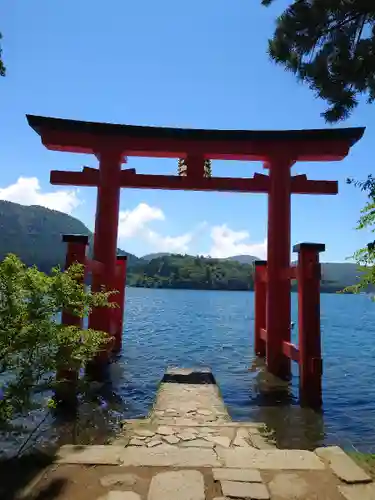 箱根神社の鳥居