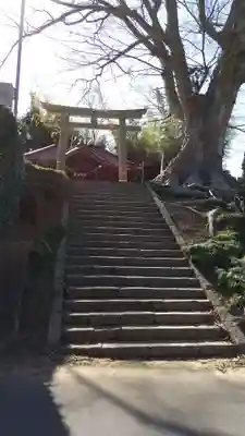 須賀神社の鳥居