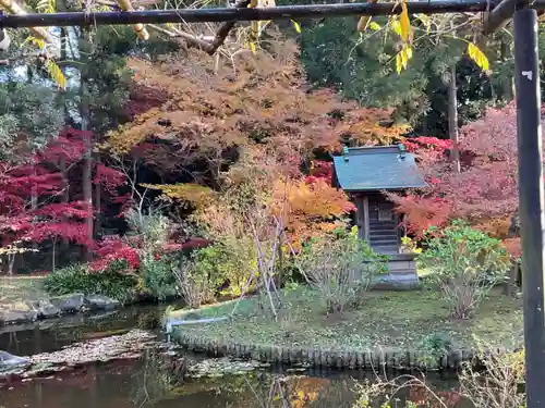 本土寺(千葉県)