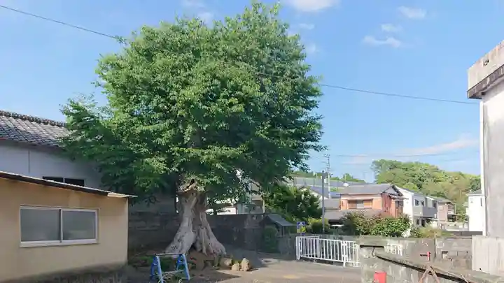 おしゃもっさん (江尾 )の仏像