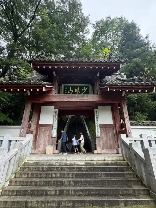 達磨寺(群馬県)