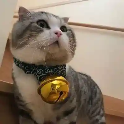 大澤山　龍藏寺(栃木県)