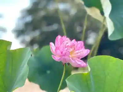 雲龍山 本證寺(愛知県)