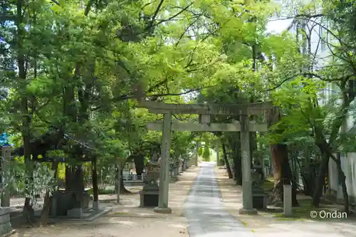 春日神社(大阪府)