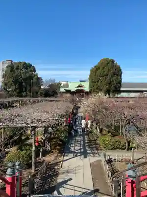亀戸天神社(東京都)