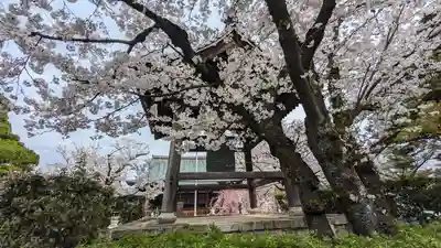 妙顯寺（妙顕寺）(京都府)