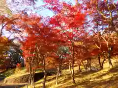 足利織姫神社の自然