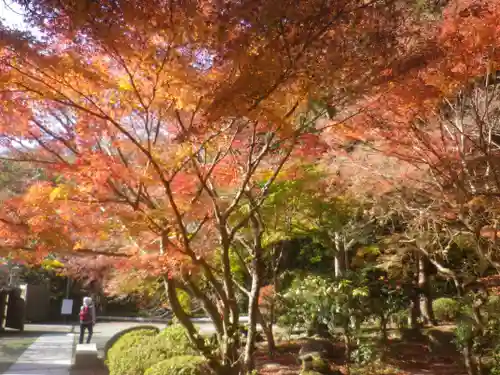 覚園寺の庭園