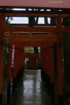 花園稲荷神社の鳥居