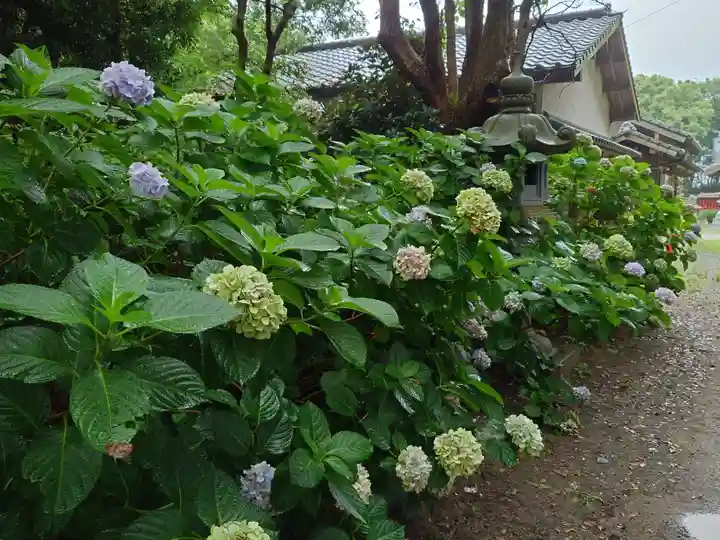 年毛神社の庭園