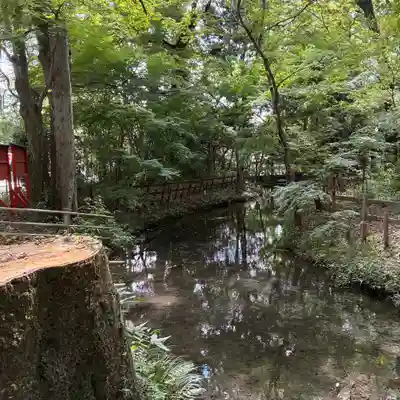 河合神社(鴨川合坐小社宅神社)の庭園