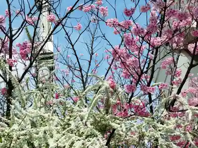 豊中不動寺（豊中不動尊）(大阪府)