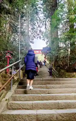 箱根神社(神奈川県)