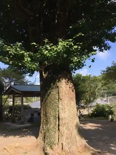 洲宮神社の自然