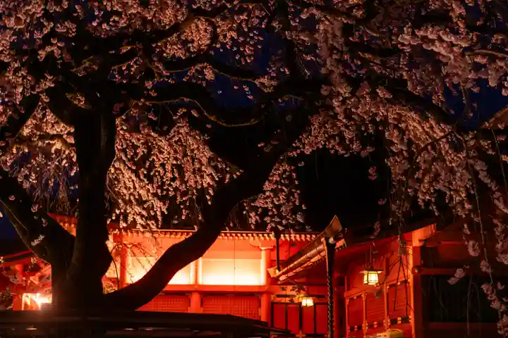 富士山本宮浅間大社(静岡県)