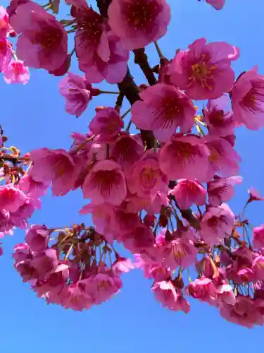 清雲寺の{uncategorized: "未分類", other: "その他", undefined: "問題あり", building: "その他建物", grave: "お墓", sacred_gate: "鳥居", guardian: "狛犬", statue: "像", buddha: "仏像", history: "歴史", nature: "自然", garden: "庭園", animal: "動物", pagoda: "塔", temizu: "手水舎", mountain_gate: "山門・神門", sanctuary: "本殿・本堂", subordinate: "末社・摂社", art: "芸術", scenery: "景色", jizo: "地蔵", ema: "絵馬", goshuin: "御朱印", omikuji: "おみくじ", items: "授与品その他", amulet: "お守り", goshuincho: "御朱印帳", eats: "食事", festival: "お祭り", votive_dance: "神楽", shichigosan: "七五三参", wedding: "結婚式", experience: "体験その他", initially: "初詣", around: "周辺", anti_infection: "感染症対策"}
