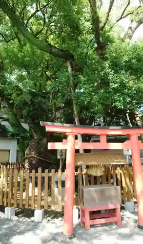 富知六所浅間神社の自然