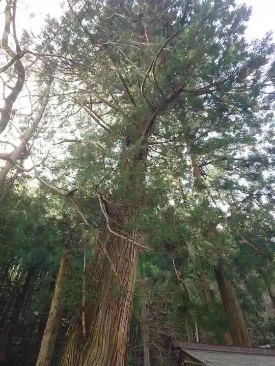 金屋子神社(島根県)