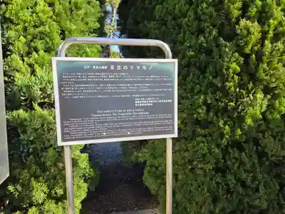 栗原氷川神社(東京都)