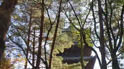 仁和寺(京都府)