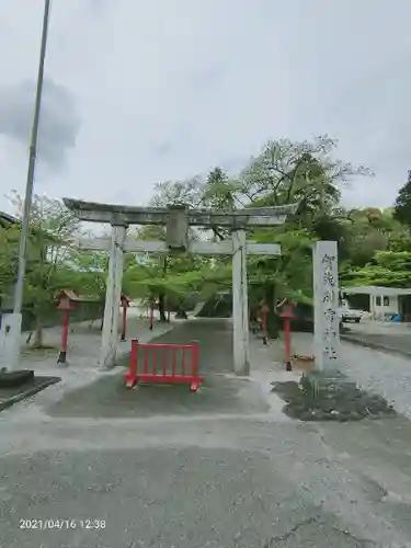 賀茂別雷神社の鳥居