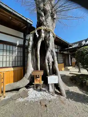 三輪坐恵比須神社の自然