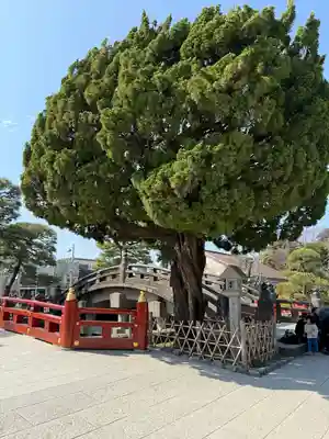鶴岡八幡宮(神奈川県)