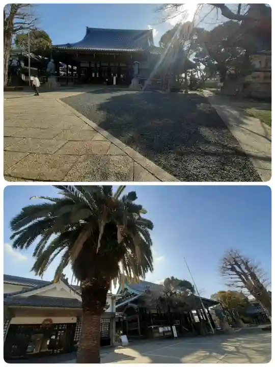 本願寺堺別院の{uncategorized: "未分類", other: "その他", undefined: "問題あり", building: "その他建物", grave: "お墓", sacred_gate: "鳥居", guardian: "狛犬", statue: "像", buddha: "仏像", history: "歴史", nature: "自然", garden: "庭園", animal: "動物", pagoda: "塔", temizu: "手水舎", mountain_gate: "山門・神門", sanctuary: "本殿・本堂", subordinate: "末社・摂社", art: "芸術", scenery: "景色", jizo: "地蔵", ema: "絵馬", goshuin: "御朱印", omikuji: "おみくじ", items: "授与品その他", amulet: "お守り", goshuincho: "御朱印帳", eats: "食事", festival: "お祭り", votive_dance: "神楽", shichigosan: "七五三参", wedding: "結婚式", experience: "体験その他", initially: "初詣", around: "周辺", anti_infection: "感染症対策"}