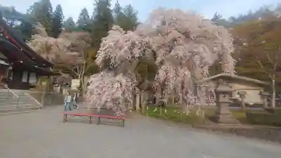 南湖神社(福島県)