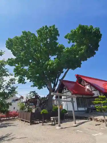 一本栗地主神社の自然