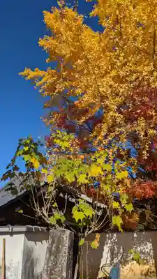 西雲院(京都府)