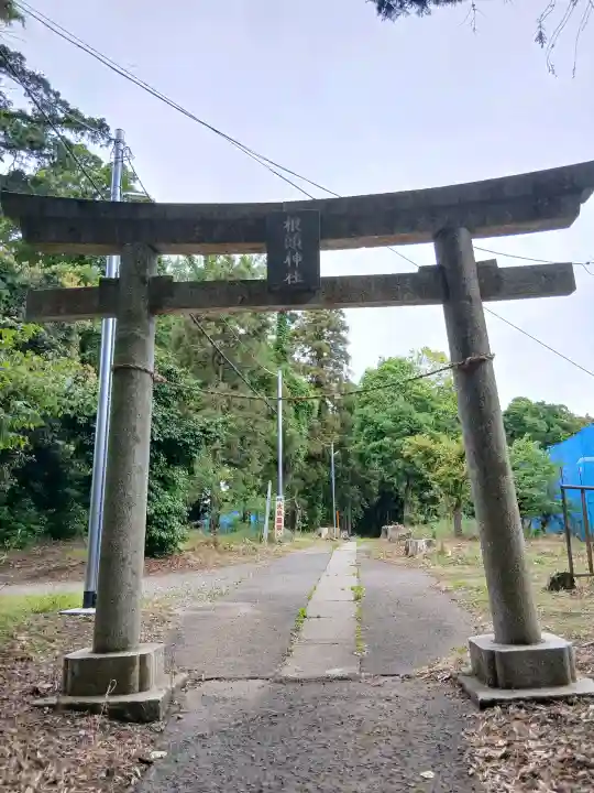 根頭神社の{uncategorized: "未分類", other: "その他", undefined: "問題あり", building: "その他建物", grave: "お墓", sacred_gate: "鳥居", guardian: "狛犬", statue: "像", buddha: "仏像", history: "歴史", nature: "自然", garden: "庭園", animal: "動物", pagoda: "塔", temizu: "手水舎", mountain_gate: "山門・神門", sanctuary: "本殿・本堂", subordinate: "末社・摂社", art: "芸術", scenery: "景色", jizo: "地蔵", ema: "絵馬", goshuin: "御朱印", omikuji: "おみくじ", items: "授与品その他", amulet: "お守り", goshuincho: "御朱印帳", eats: "食事", festival: "お祭り", votive_dance: "神楽", shichigosan: "七五三参", wedding: "結婚式", experience: "体験その他", initially: "初詣", around: "周辺", anti_infection: "感染症対策"}