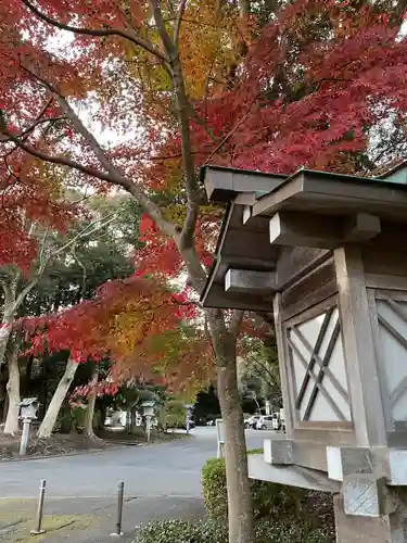 大洗磯前神社(茨城県)