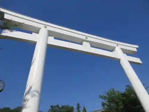 山梨縣護國神社の鳥居