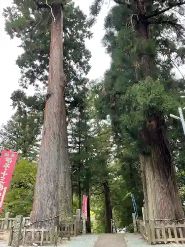 金毘羅寺の自然