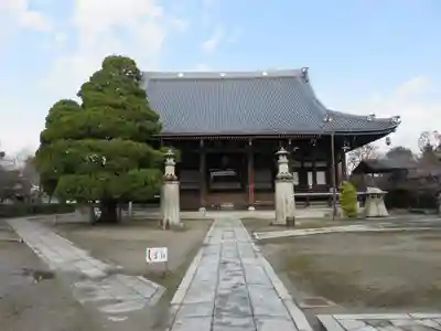 妙顯寺(妙顕寺)の本殿・本堂