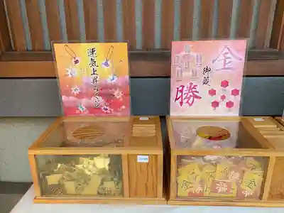 芝大神宮のおみくじ