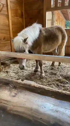 平塚八幡宮(神奈川県)