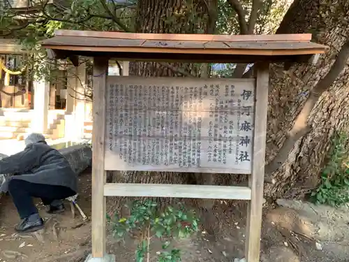 井河麻神社の歴史